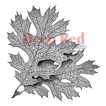 Резиновый штамп "Elm Leaves" (арт. 4x505110)