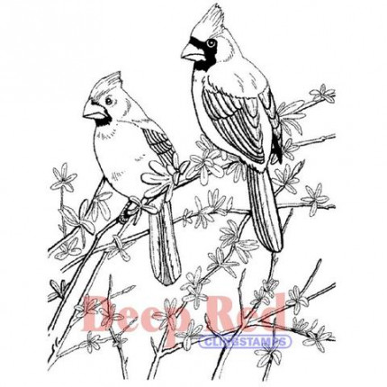 Резиновый штамп "Cardinals" (арт. 4x602032)