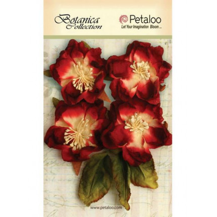 Набор цветов бумажных "Botanica Blooms - All Red" (красный) (арт. 1102-005)