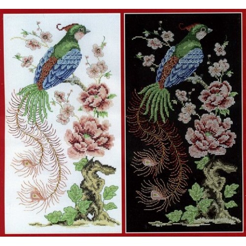 cover_55c68a53a0952-500x500.jpg