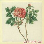 Набор для вышивания RHS07 Paeonia suffruticosa (red) (Цветок)