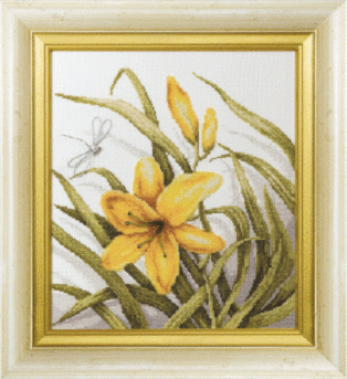 cover_54c150fc71d2e-500x500.gif