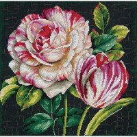 Dimensions 35314 Tulip Drama (Тюльпан Драма) 