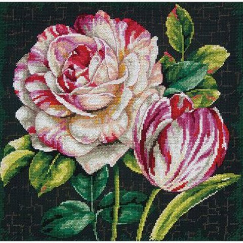 cover_54c0d232ea825-500x500.jpg