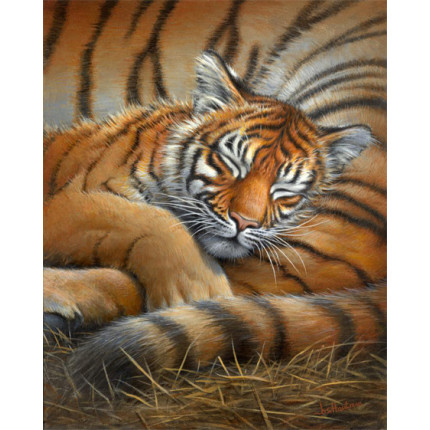 Набор для вышивания 65105 Cozy Cub (Спящий тигрёнок)
