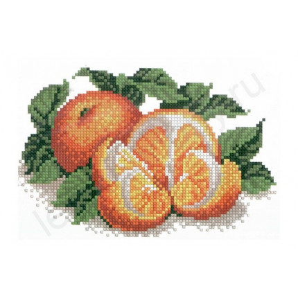 Набор для вышивания 538 Апельсины