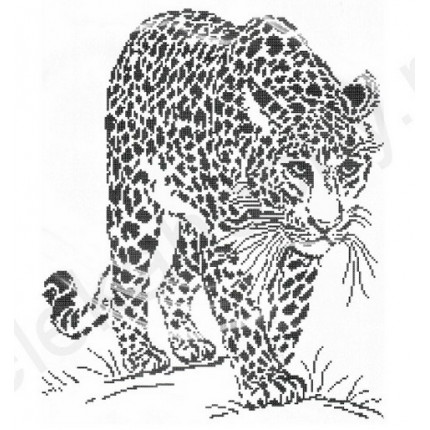 Набор для вышивания 632 Графика. Леопард.