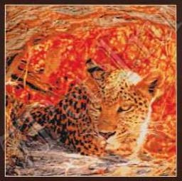 Набор для вышивания 98437 Затаившийся леопард (Hiding Leopard)