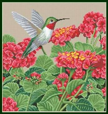 Набор для вышивания 98457 Великолепие колибри (Hummingbird Splendor)
