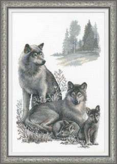 cover_54c135bed37b8-500x500.jpg