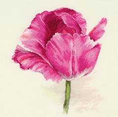 Тюльпаны. Малиновое сияние (арт. 2-43)