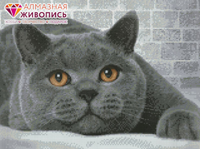 "Алмазная живопись" АЖ-1463 "Британский кот" 40 х 30 см (арт. АЖ-1463)