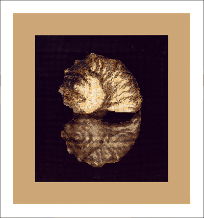 Набор для вышивания «Чарiвна Мить» М-06 Морской дар