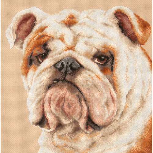 cover_5a04b75e26501-500x500.jpg