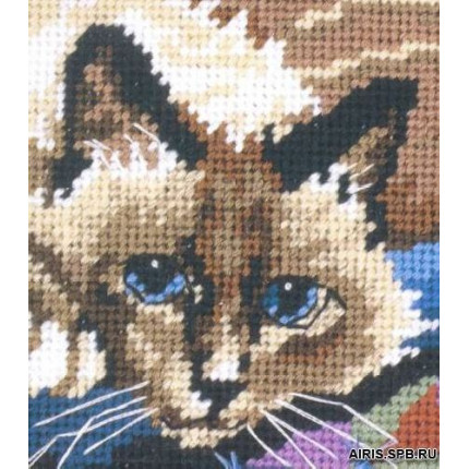 Набор для вышивания 7228 07228-DMS Набор для рукоделия "Милый котик", 13 х 13 см