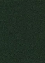 Лист фетра, 100% полиэстр, 30 х 45 см х 3 мм, 550 г/м, темно-зеленый