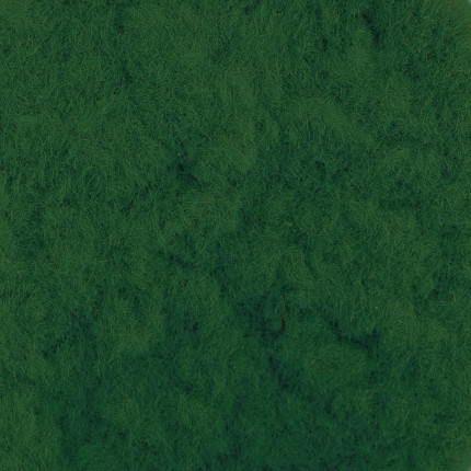 Пыльца бархатная FIO-B  5 г 06 Зелёный (арт. FIO-B)
