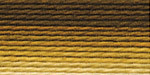 Нитки для вышивания мулине меланж 100% хлопок 8 м Цвет  р-18 св.коричневый-бл.желтый