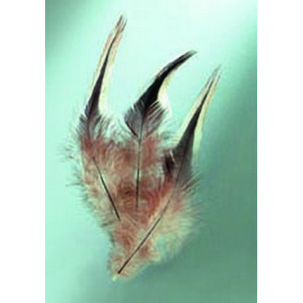 Декоративные перья, цвет - коричневый (арт. 318012)