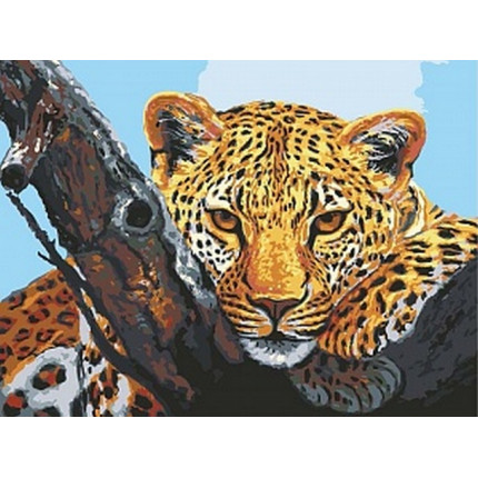 Схема для вышивания 10.501 Канва жесткая с рисунком GRAFITEC 10.501 Взгляд леопарда 30 x 40 см