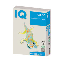 IQ COLOR GR21 Бумага цветная IQ color, А4, 160 г/м2, 250 л., тренд, серая, GR21 