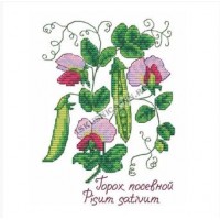 Искусница Набор для вышивания «Искусница» 5022 Гербарий. Горошек  20*21 см Набор для вышивания «Искусница» 5022 Гербарий. Горошек  20*21 см 
