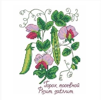 Набор для вышивания «Искусница» 5022 Гербарий. Горошек  20*21 см (арт. Набор для вышивания «Искусница» 5022 Гербарий. Горошек  20*21 см)