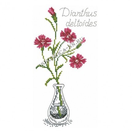 Набор для вышивания крестом «Искусница» 5005 Гвоздика-травянка (набор для вышивания крестом) (арт. Набор для вышивания крестом «Искусница» 5005 Гвоздика-травянка (набор для вышивания крестом))