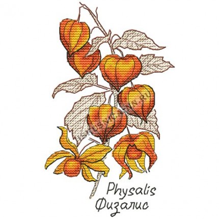 Набор для вышивания крестом «Искусница» 5011 Гербарий. Физалис (набор для вышивания крестом) (арт. Набор для вышивания крестом «Искусница» 5011 Гербарий. Физалис (набор для вышивания крестом))