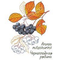 Искусница Набор для вышивания крестом «Искусница» 5016 Гербарий. Черн. рябина (набор для вышивания крестом) Набор для вышивания крестом «Искусница» 5016 Гербарий. Черн. рябина (набор для вышивания крестом) 