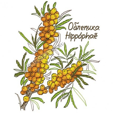 Набор для вышивания крестом «Искусница» 5018 Гербарий. Облепиха (набор для вышивания крестом) (арт. Набор для вышивания крестом «Искусница» 5018 Гербарий. Облепиха (набор для вышивания крестом))