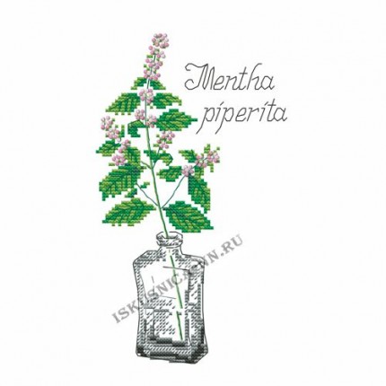 Набор для вышивания крестом «Искусница» 595 Ароматные травы.Мята (набор для вышивания крестом) (арт. Набор для вышивания крестом «Искусница» 595 Ароматные травы.Мята (набор для вышивания крестом))
