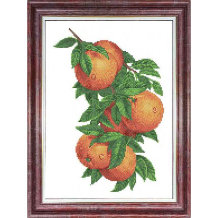 Рисунок-схема на ткани «Каролинка» КБЦ 3057 Ветка с апельсинами (арт. КБЦ 3057)