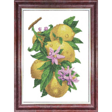 Рисунок-схема на ткани «Каролинка» КБЦ 3058 Ветка с лимонами (арт. КБЦ 3058)