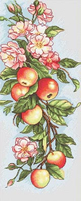 Набор для вышивания B211 Композиция с яблоками