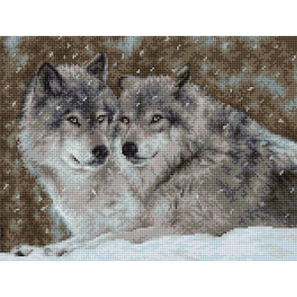 Набор для вышивания B2291 Два волка