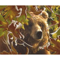 М.П.Студия  Канва/ткань с рисунком "М.П.Студия" для вышивания бисером №2 35 см х 40 см Г-021 "Медведь в лесу" 