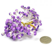Magic Hobby MG.ST.208.08 Тычинки Magic 4 Hobby арт. MG.ST.208.08 упак 85 шт, сиреневый/белый 