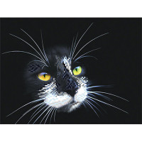 Матренин Посад  Канва/ткань с рисунком "Матренин посад" для вышивания бисером 28 см х 34 см 4102 Г "Черный кот" 