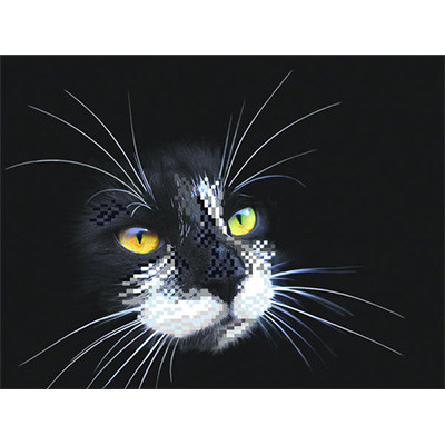 Схема для вышивания  Канва/ткань с рисунком "Матренин посад" для вышивания бисером 28 см х 34 см 4102 Г "Черный кот"