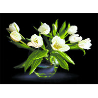 Матренин Посад  Канва/ткань с рисунком "Матренин посад" для вышивания бисером 37 см х 49 см 4077 "Белые тюльпаны" 