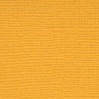 Mr.Painter PST Бумага для скрапбукинга "Mr.Painter" PST Бумага для скрапбукинга 216 г/кв.м 30.5 x 30.5 см 22 Золотая осень (жёлто-оранжевый) 