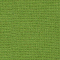 Mr.Painter PST Бумага для скрапбукинга "Mr.Painter" PST Бумага для скрапбукинга 216 г/кв.м 30.5 x 30.5 см 25 Оливковый венок (зелёный) 