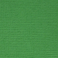 Mr.Painter PST Бумага для скрапбукинга "Mr.Painter" PST Бумага для скрапбукинга 216 г/кв.м 30.5 x 30.5 см 26 Лесной папоротник (т.зелёный) 