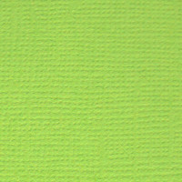 Mr.Painter PST Бумага для скрапбукинга "Mr.Painter" PST Бумага для скрапбукинга 216 г/кв.м 30.5 x 30.5 см 28 Зелёное яблоко (ярко-зелёный) 