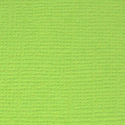 Бумага для скрапбукинга "Mr.Painter" PST Бумага для скрапбукинга 216 г/кв.м 30.5 x 30.5 см 28 Зелёное яблоко (ярко-зелёный) (арт. PST)