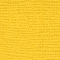 Mr.Painter PST Бумага для скрапбукинга "Mr.Painter" PST Бумага для скрапбукинга 216 г/кв.м 30.5 x 30.5 см 37 Кукурузный початок (ярко-жёлтый) 