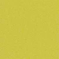 Mr.Painter PST Бумага для скрапбукинга "Mr.Painter" PST Бумага для скрапбукинга 216 г/кв.м 30.5 x 30.5 см 45 Зеленый чай (желто-зеленый) 