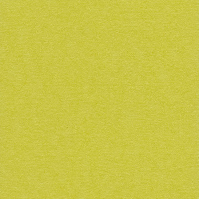 Бумага для скрапбукинга "Mr.Painter" PST Бумага для скрапбукинга 216 г/кв.м 30.5 x 30.5 см 45 Зеленый чай (желто-зеленый) (арт. PST)