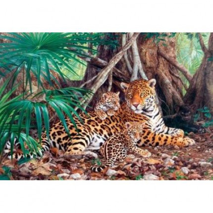 Пазлы 3000 дет. Ягуары в джунглях С-300280, (Castor Drukarnia i Wydawnictwo) (арт. 11-143966)